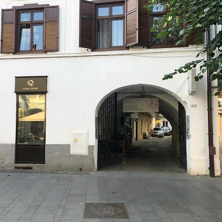 Gizell Apartment 1 Сибиу Экстерьер фото